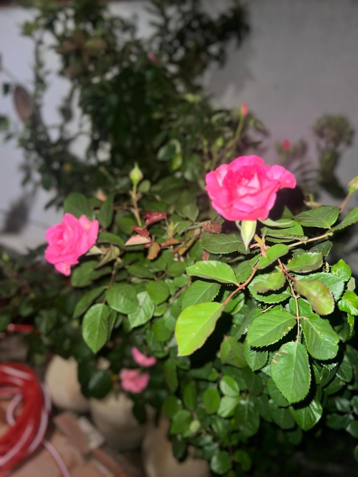 Rosa Dei Venti Cagliari Exterior foto