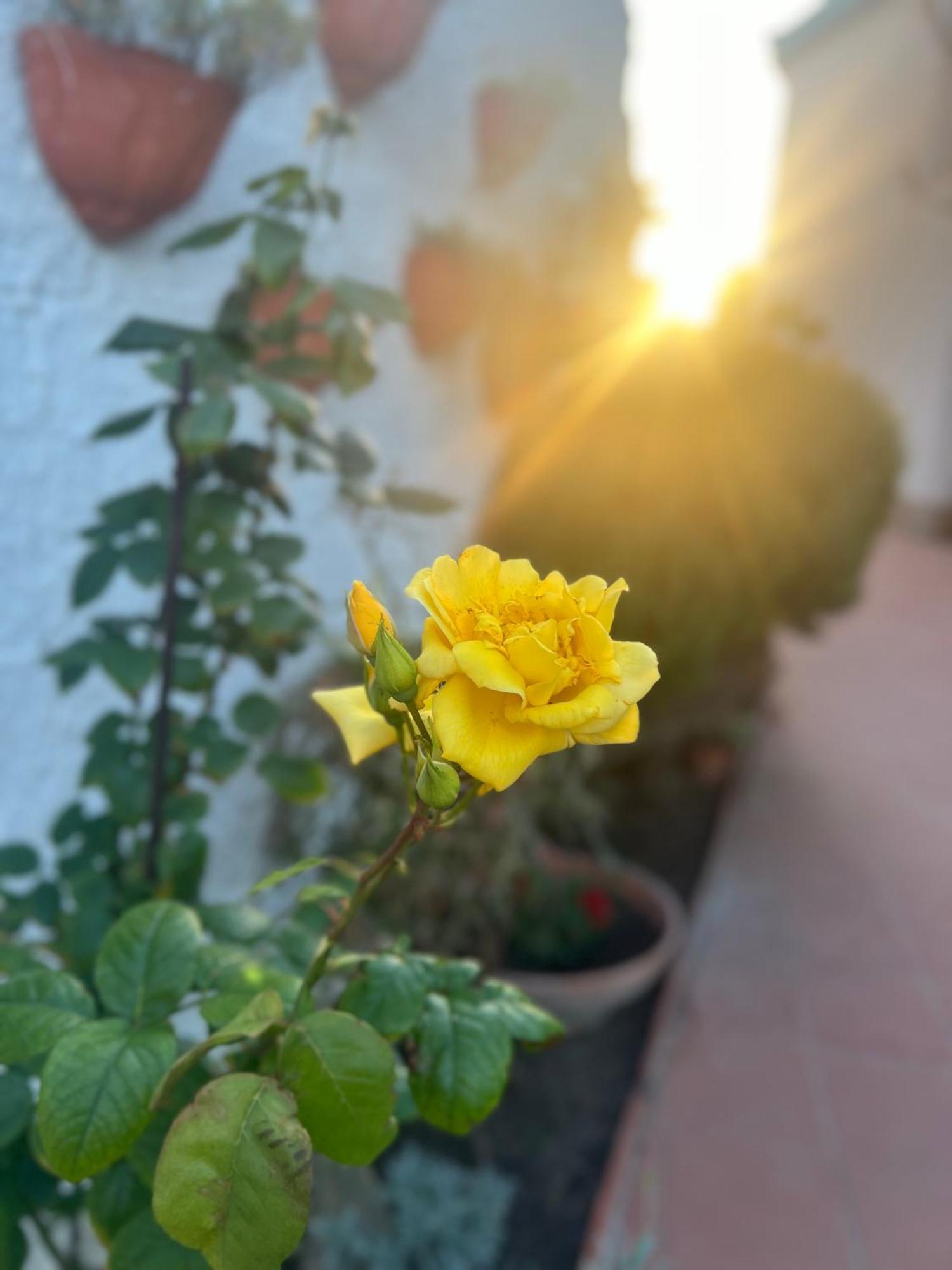 Rosa Dei Venti Cagliari Exterior foto